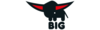 BIG